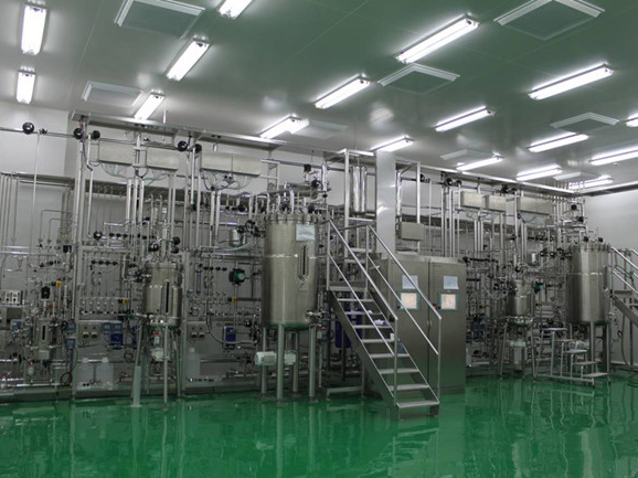 生物发酵车间工艺管道